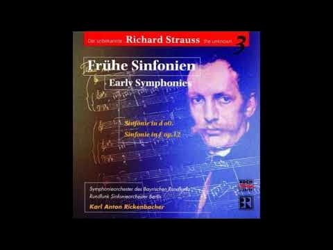 Richard Strauss : Symphony No. 1 in D minor AV 69 (1880)