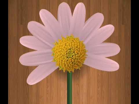 pluck the flower…. - YouTube