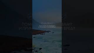 Сура: «Аш-Шуара» Аяты: 69-76, чтец: Абу Бакр Аш-Шатри #quran #коран