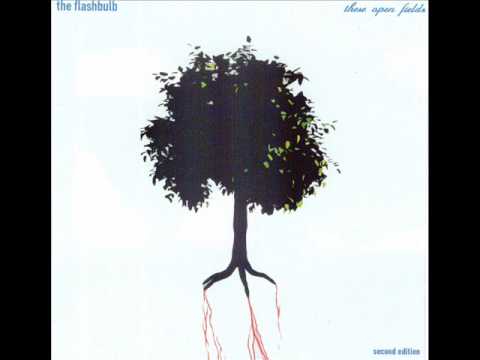 The Flashbulb — I Am The Unbreakable Shard Of Glass