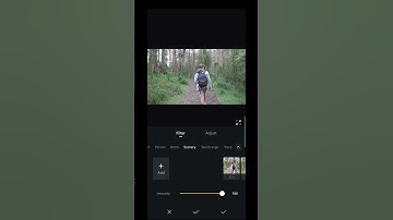 VN Colour Grading 🔥 Try now #subscribe #vn#videoediting #colourgrading#trending #editing #vneditor