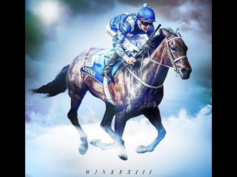 馬壇八卦 布文探大肚馬后雲絲仙子 Horse Salon Winx Is In Her 9 Month Of Pregnancy Youtube