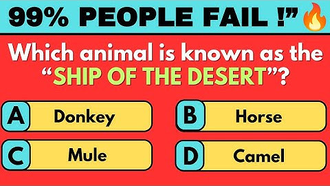 99% People Fail This Hard Quiz Trivia | Mixed Hard english trivia quiz| hard gk Riddles 🧠