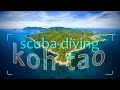 Exploring Koh Tao&#39;s Underwater World