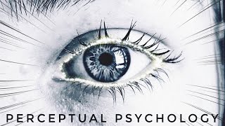 Optical Illusions for the greater good – Perceptual Psychology