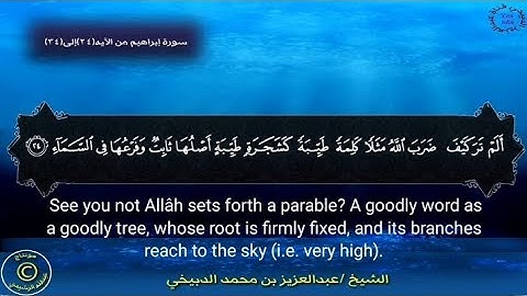 ألم تر كيف ضرب الله مثلا كلمة طيبة | القارئ عبد العزيز بن محمد الدبيخي