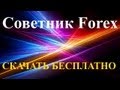 Советники Форекс - YouTube