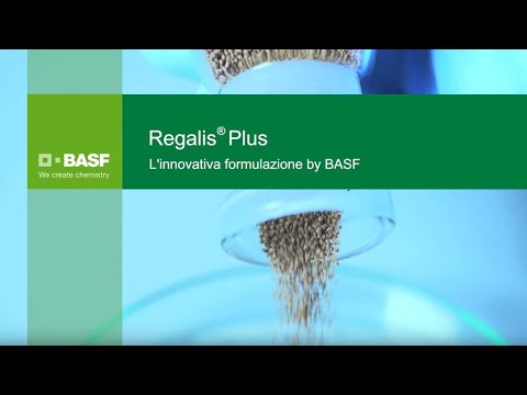 Regalis Plus Regalis® Plus – L’innovativa formulazione by BASF - YouTube