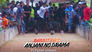 PERANG BINTANG⭐RABBIT RACE LAP. ANJANI NO DRAMA