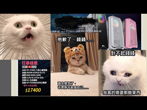 錢錢對不起...但我真的需要那個酷東西.....