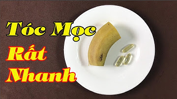 Chỉ cần 1 tuần áp dụng theo cách này, tóc mọc như mưa và giảm gãy rụng hoàn toàn_Mẹo chữa bệnh