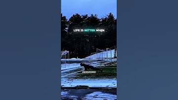 The Power of Privacy: Finding Freedom in Anonymity #viral #shorts #motivation #trending #shortsfeed