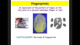 Fingerprints Notes Forensics