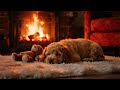 Relaxing Dog Piano Music 🎹 | Calm Your Dog &amp; Improve Sleep