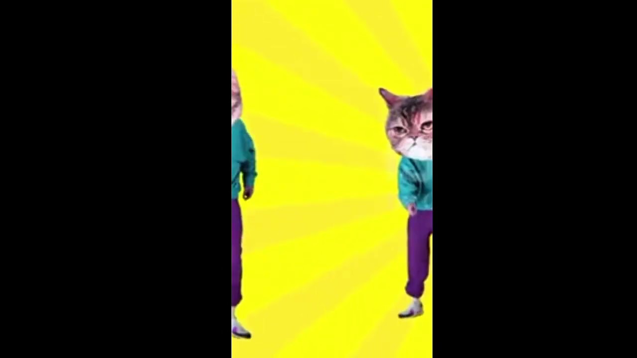 Video and music are royalty-free from Pixabay / YouTube Audio Library.🐶🎨🎵😊