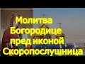 Молитва Богородице пред иконой Скоропослушница.Помолитесь сегодня о здоровье, у иконы чудесная сила,