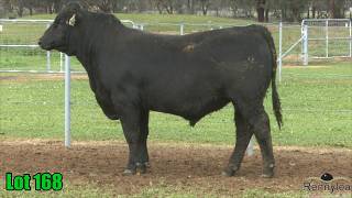Lot 168 Rennylea NOR25W629