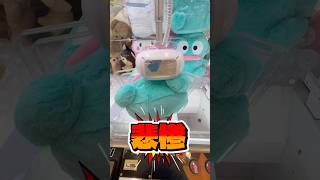 ハンギョドンに挑戦 #クレーンゲーム #ufoキャッチャー #ハンギョドン