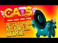 ЛЕГЕНДАРНЫЙ КОТ ВОИТЕЛЬ НА АРЕНЕ! - CATS