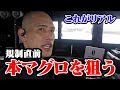 【これがリアル】規制直前の本マグロを狙う！