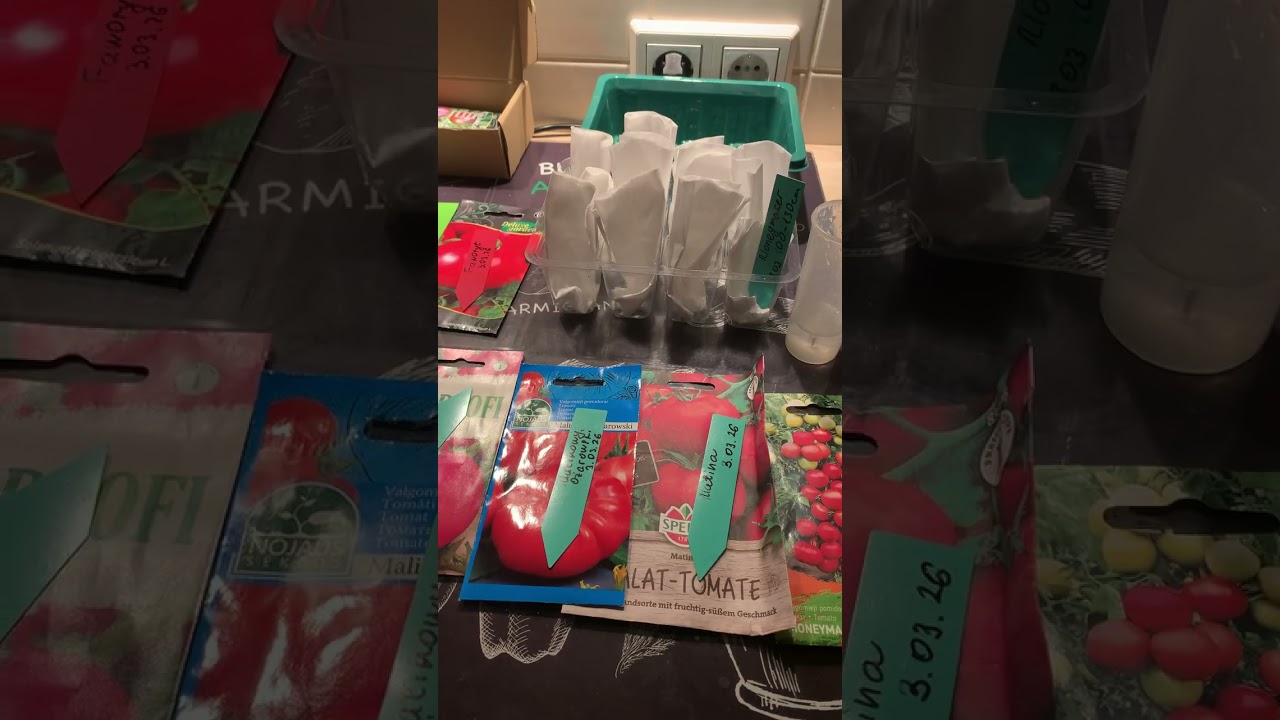 Система проращивания: много сортов томатов на маленьком пространстве 🍅