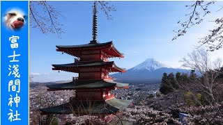 『山梨-河口湖』騎腳踏車攻略！富士淺間神社櫻花【Wang Ching ...