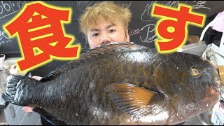 巨大イラブチャーを捌いてみた。