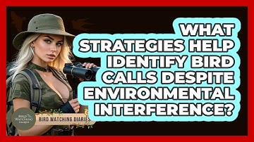 What Strategies Help Identify Bird Calls Despite Environmental Interference? - Bird Watching Diaries