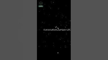 سورة العصر • مكية • بصوت هاني الرفاعي | عدد الآيات: 3 #قرآن #Quran #تلاوة #قرآن_كريم #العصر