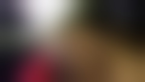 20 Times African Safari Trips Went Terribly Wrong