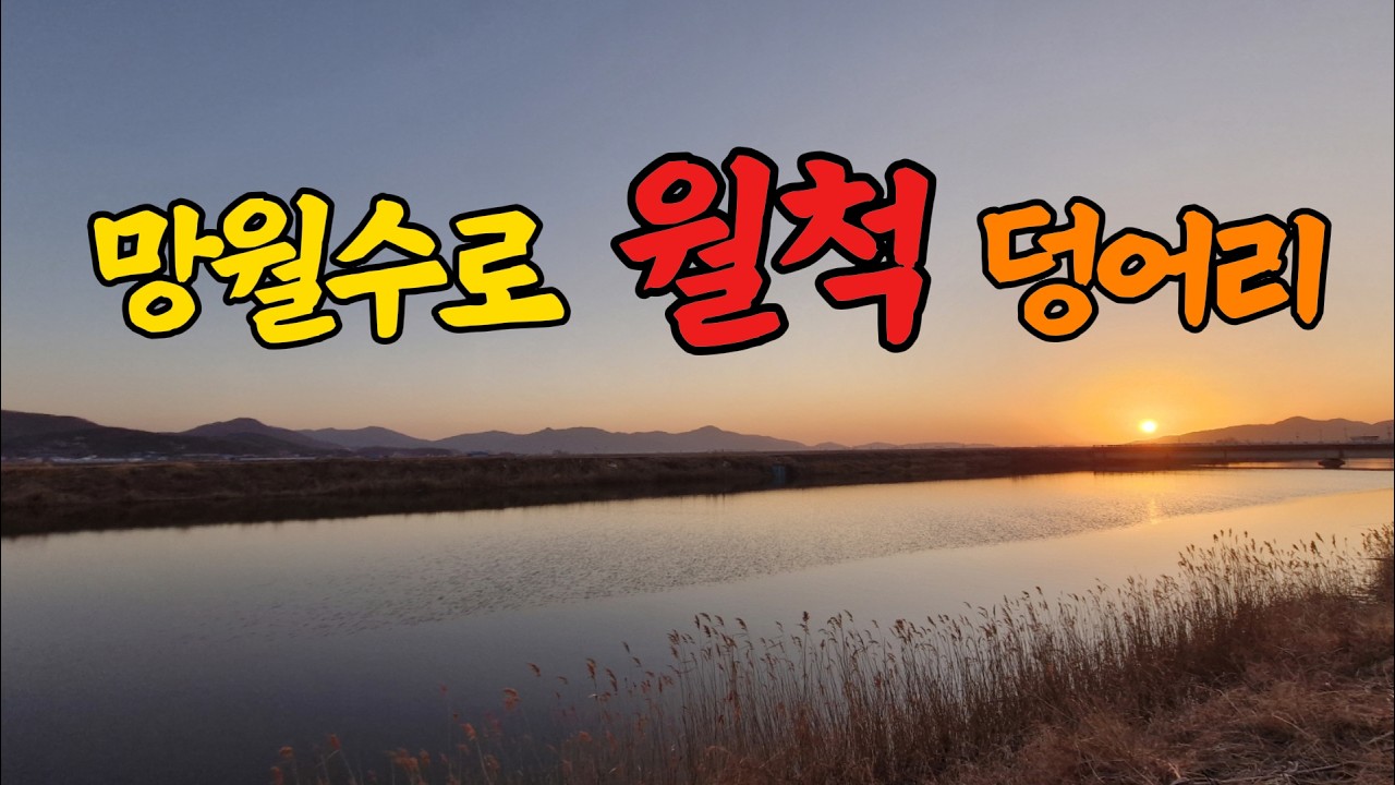 강화도 망월수로 대박… 덩어리급 붕어 등장