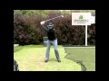 Aaron Baddeley Swing