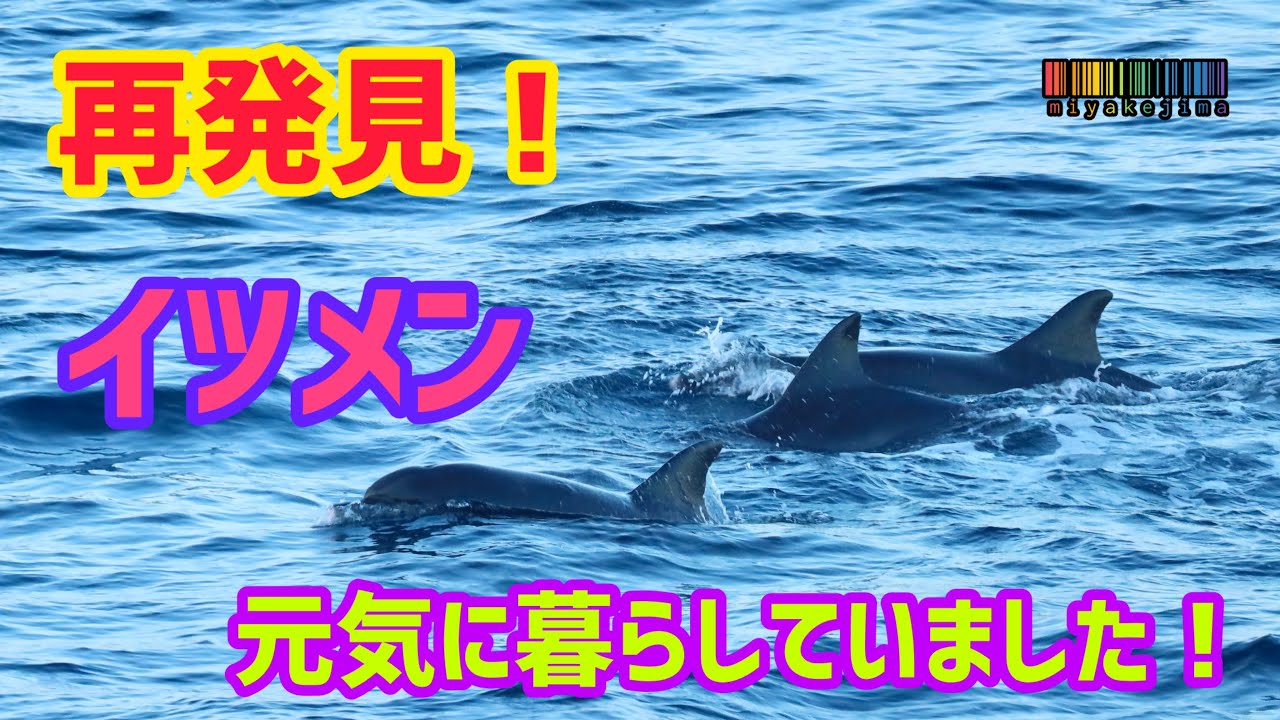すべての動画