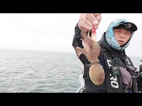 <strong>서해</strong> 주꾸미 졸업식 - 2022.11.12 홍원항 주꾸미 <strong>낚시</strong>