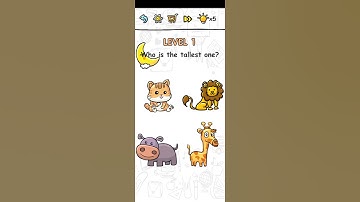 Brain Challenge Puzzle Level 1 Who is the tallest one? Gameplay Solution Walkthrough