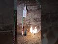 Matchstick Amazing Experiment 😳 Diwali Crackers Reactions 🤯#diwaliexperiment #vairal