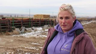 U.S. Senate passes Farm Bill