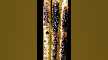 Burning pasta #asmr #closeup