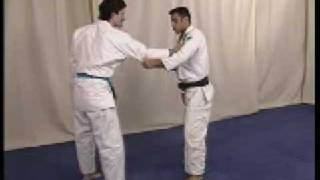 Brazilian Jiu Jitsu Advanced Techniques