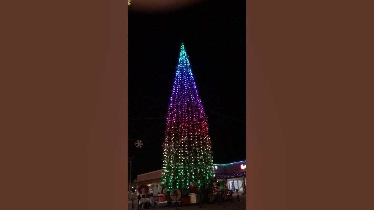 Anthem Christmas Tree YouTube