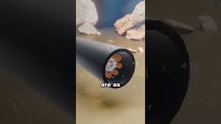 How Internet Works #facts #shorts #shortvideo #shortsviral #short #viral #trending #mustwatch