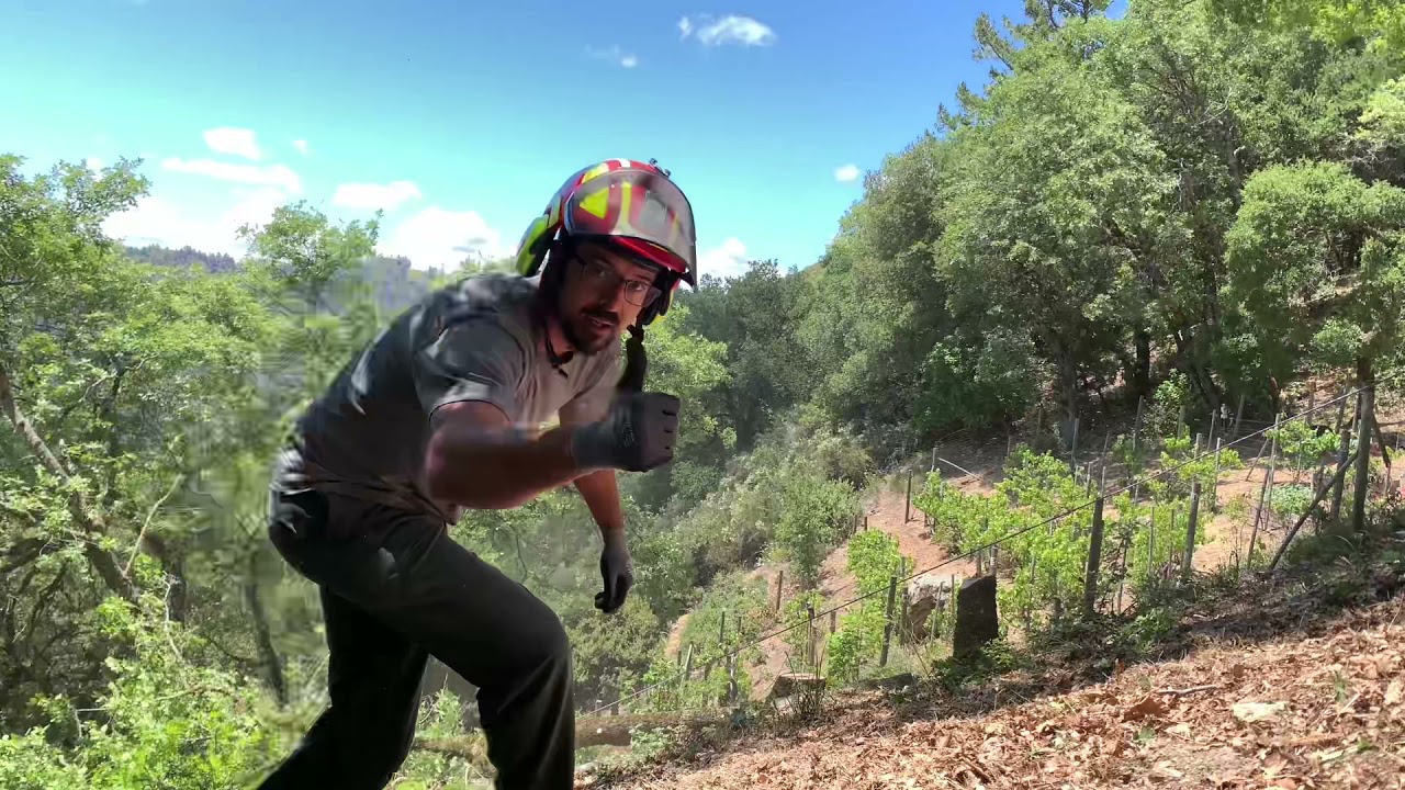 Using 3 - 1 Mechanical Advantage to Pull Trees