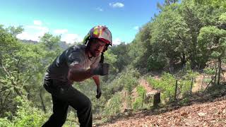 Using 3 - 1 Mechanical Advantage to Pull Trees
