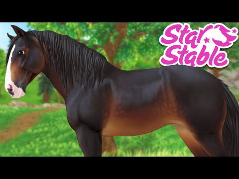 SPOILER ‼️ BUYING THE UPDATED SHIRE ? IN STAR STABLE!