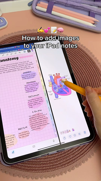 How to add images to your iPad notes ✏️💕 aesthetic study notes | digital note taking | goodnotes app