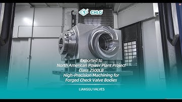 Lianggu Valve |Class 2500LB Forged Check Valve Bodies Exported to North American Power Plant Project