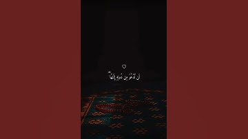 تلاوه هادئه تطمئن القلوب | حالات واتساب دينيه | #ماهر_المعيقلي  #اجر_لي_ولك