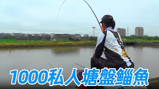 1000 fishing tickets for six hours  private pond fishing mullet  more than 100 can go ashore! [Blac