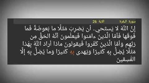 سورة البقرة ./ الآية 26 ./ إِنَّ اللَّهَ لا يَستَحيۦ أَن يَضرِبَ مَثَلًا ما بَعوضَةً فَما