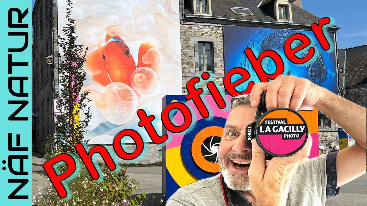 Roadtrip zur Normandie & Bretagne Teil 3